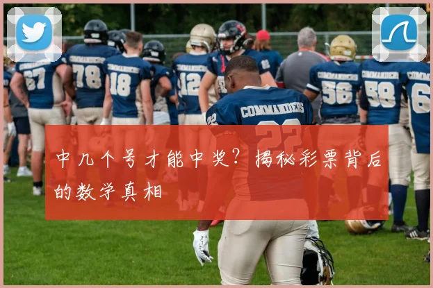 中几个号才能中奖?揭秘彩票背后的数学真相