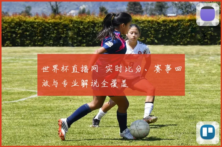 世界杯直播网 实时比分、赛事回放与专业解说全覆盖